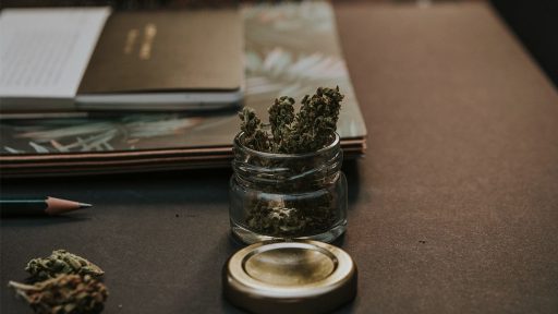 CBD – Cannabis ohne Rausch