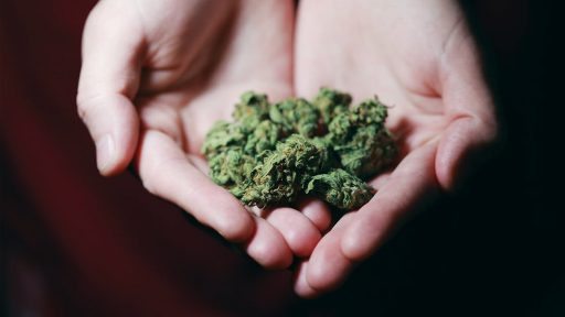 Was ist CBD und was ist die Wirkung?